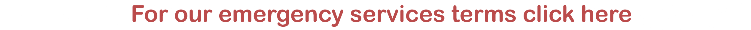 Emergency Services Terms